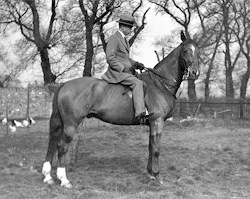 FM  Alexander on Horse